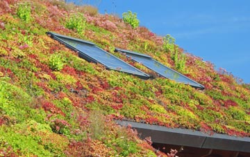 Threehammer Common living roof systems