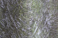 Threehammer Common fibreglass roof work